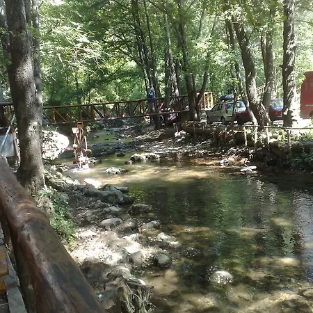 Pavlovic * Soko Banja