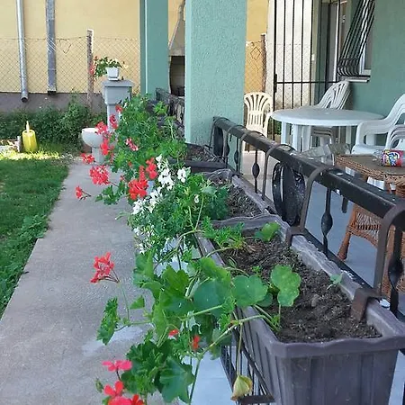 Pavlovic * Soko Banja