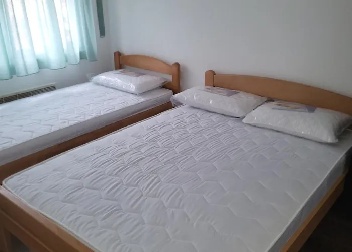 Pavlovic Apartman Sokobanja
