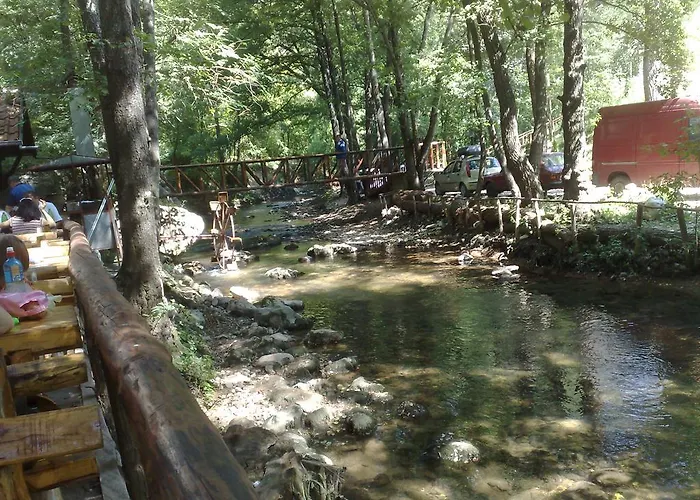 Pavlovic * Sokobanja